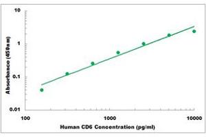 CD6 ELISA Kit