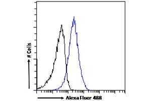 (ABIN184669) Flow cytometric analysis of paraformaldehyde fixed HeLa cells (blue line), permeabilized with 0.