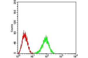Flow cytometric analysis of HL-60 cells using CD148 mouse mAb (green) and negative control (red). (PTPRJ antibody  (AA 36-210))
