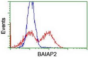 HEK293T cells transfected with either RC214570 overexpress plasmid (Red) or empty vector control plasmid (Blue) were immunostained by anti-BAIAP2 antibody (ABIN2454893), and then analyzed by flow cytometry. (BAIAP2 antibody)