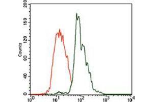 Flow cytometric analysis of HEK293 cells using CBX8 mouse mAb (green) and negative control (red). (CBX8 antibody  (AA 17-222))