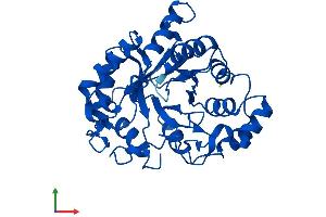 AlphaFold protein structure predicition of Mouse Recombinant Akr1d1 Protein, UniprotID Q8VCX1 (AKR1D1 Protein (AA 1-325) (His tag))