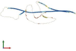 AlphaFold protein structure predicition of Human Recombinant GOLGA8CP Protein, UniprotID A6NN73 (GOLGA8CP Protein (AA 1-597) (His tag))