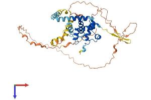 AlphaFold protein structure predicition of Human Recombinant SPDYE2B Protein, UniprotID A6NHP3 (SPDYE2B Protein (AA 1-402) (His tag))