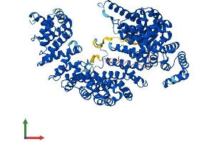 AlphaFold protein structure predicition of Mouse Recombinant Tnpo2 Protein, UniprotID Q99LG2 (TNPO2 Protein (AA 1-887) (His tag))