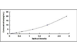 ELISA image for Osteocalcin (BGLAP) ELISA Kit (ABIN416018)