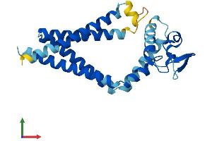 AlphaFold protein structure predicition of Mouse Recombinant Tspan8 Protein, UniprotID Q8R3G9 (Tspan-8 Protein (AA 1-235) (His tag))