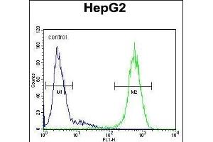 IC Antibody (Center) (ABIN655000 and ABIN2844634) flow cytometric analysis of HepG2 cells (right histogram) compared to a negative control cell (left histogram).