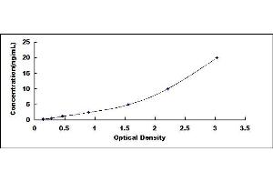 Typical standard curve (CST5 ELISA Kit)