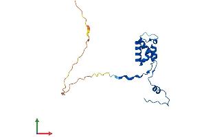 AlphaFold protein structure predicition of Human Recombinant MRPL50 Protein, UniprotID Q8N5N7 (MRPL50 Protein (AA 1-158) (His tag))