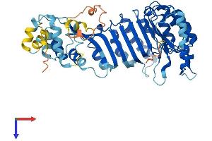 GM13109 Gene Product From Transcript GM13109-RA (DSEC\GM13109) (AA 1-478) protein (His tag)