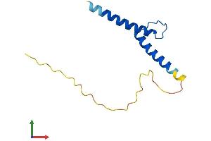 AlphaFold protein structure predicition of Mouse Recombinant Tal2 Protein, UniprotID Q62282 (TAL2 Protein (AA 1-108) (His tag))