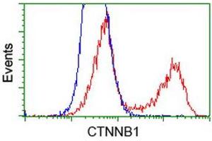 HEK293T cells transfected with either RC208947 overexpress plasmid (Red) or empty vector control plasmid (Blue) were immunostained by anti-CTNNB1 antibody (ABIN2454170), and then analyzed by flow cytometry.