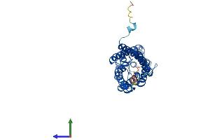 AlphaFold protein structure predicition of Human Recombinant AQP9 Protein, UniprotID O43315 (AQP9 Protein (AA 1-295) (His tag))