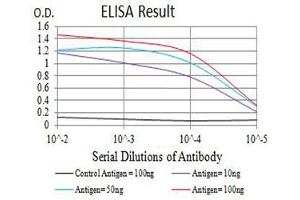 Black line: Control Antigen (100 ng),Purple line: Antigen (10 ng), Blue line: Antigen (50 ng), Red line:Antigen (100 ng) (PAR1 antibody  (AA 42-176))