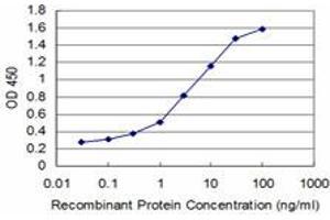 Detection limit for recombinant GST tagged GSC is approximately 0. (GSC antibody  (AA 151-257))