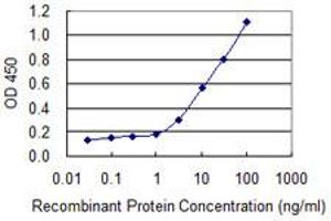 Detection limit for recombinant GST tagged SNTB2 is 0. (SNTB2 antibody  (AA 116-210))