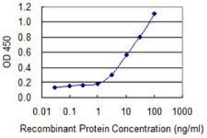SNTB2 antibody  (AA 116-210)