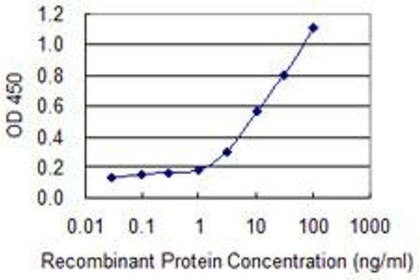 SNTB2 antibody  (AA 116-210)