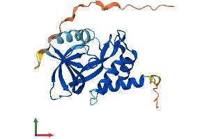 AlphaFold protein structure predicition of Mouse Recombinant Chac1 Protein, UniprotID Q8R3J5 (CHAC1 Protein (AA 1-223) (His tag))