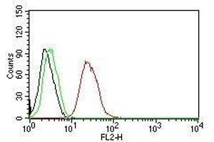 Flow Cytometry for human ER-beta on MCF-7 cells. (ESR2 antibody  (C-Term) (PE))