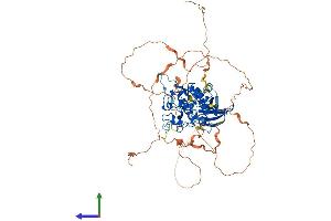 AlphaFold protein structure predicition of Mouse Recombinant Tesk1 Protein, UniprotID O70146