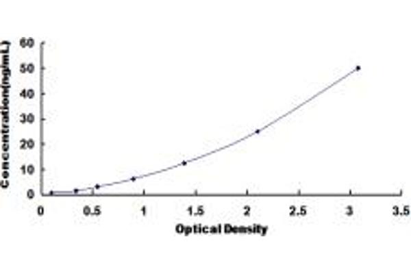 SGCD ELISA Kit