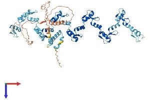 AlphaFold protein structure predicition of Human Recombinant ZNF135 Protein, UniprotID P52742 (ZNF135 Protein (AA 1-658) (His tag))