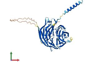 Protein Structure (PS) image for Prolactin Regulatory Element Binding (PREB) (AA 1-417) protein (His tag) (ABIN7550959)
