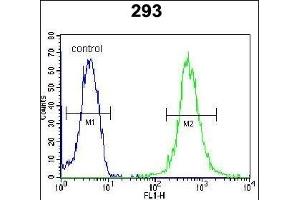 WDR48 Antibody (C-term) (ABIN654462 and ABIN2844195) flow cytometric analysis of 293 cells (right histogram) compared to a negative control cell (left histogram). (WDR48 antibody  (C-Term))