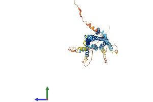 AlphaFold protein structure predicition of Human Recombinant GPR61 Protein, UniprotID Q9BZJ8 (GPR61 Protein (AA 1-451) (His tag))