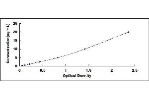 Typical standard curve (Glutamate Receptor 3 ELISA Kit)