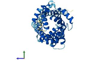 AlphaFold protein structure predicition of Mouse Recombinant Slc25a21 Protein, UniprotID Q8BZ09 (SLC25A21 Protein (AA 1-298) (His tag))