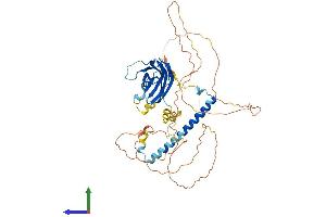 AlphaFold protein structure predicition of Human Recombinant RAB11FIP2 Protein, UniprotID Q7L804