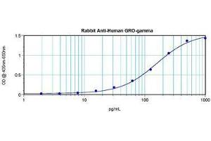 Image no. 4 for anti-Growth Regulated Oncogene gamma (GRO gamma) antibody (ABIN465909) (GRO gamma antibody)