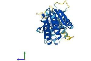 AlphaFold protein structure predicition of Human Recombinant FAM86B1 Protein, UniprotID Q8N7N1 (FAM86B1 Protein (AA 1-296) (His tag))