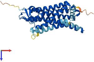 Olfactory Receptor, Family 52, Subfamily N, Member 2 (OR52N2) (AA 1-321) protein (His tag)