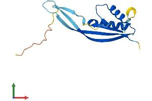 AlphaFold protein structure predicition of Human Recombinant POP7 Protein, UniprotID O75817 (POP7 Protein (AA 1-140) (His tag))