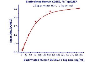 Measured by its binding ability in a functional ELISA. (TIGIT Protein (AA 22-141) (Fc Tag))