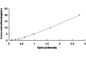 USP14 ELISA Kit