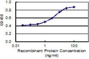 Detection limit for recombinant GST tagged LRRIQ1 is 0. (LRRIQ1 antibody  (AA 1-240))