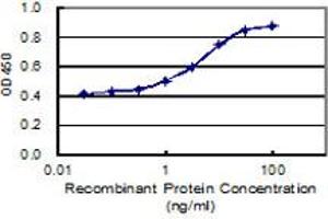 Detection limit for recombinant GST tagged LRRIQ1 is 0. (LRRIQ1 antibody  (AA 1-240))
