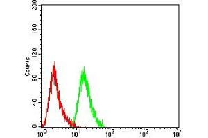 Flow cytometric analysis of THP-1 cells using CD118 mouse mAb (green) and negative control (red). (LIFR antibody  (AA 22-441))