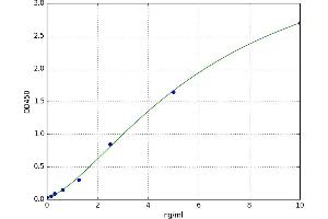 A typical standard curve