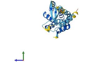 Protein Structure (PS) image for COMM Domain Containing 7 (COMMD7) (AA 1-200) protein (His tag) (ABIN7546680)