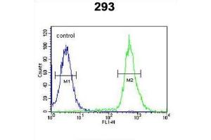 Flow Cytometry (FACS) image for anti-TAM41, Mitochondrial Translocator Assembly and Maintenance Protein (TAMM41) antibody (ABIN3002329) (TAM41 antibody)