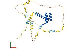Protein Structure (PS) image for Empty Spiracles Homeobox 2 (EMX2) (AA 1-252) protein (His tag) (ABIN7547381)
