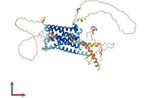 Protein Structure (PS) image for Adrenergic Receptor, alpha 1d (ADRA1D) (AA 1-562) protein (His tag) (ABIN7556821)