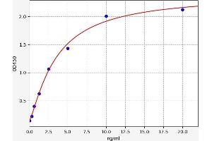 WNT7B ELISA Kit