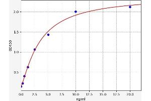 Typical standard curve (WNT7B ELISA Kit)